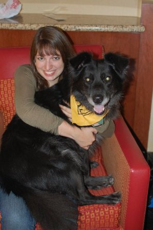 Tucie with his Towson bandanna on a few years ago. Aren't his ears and fluffy little face the cutest?