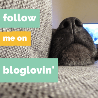 Follow The Cheerful Times on Bloglovin'