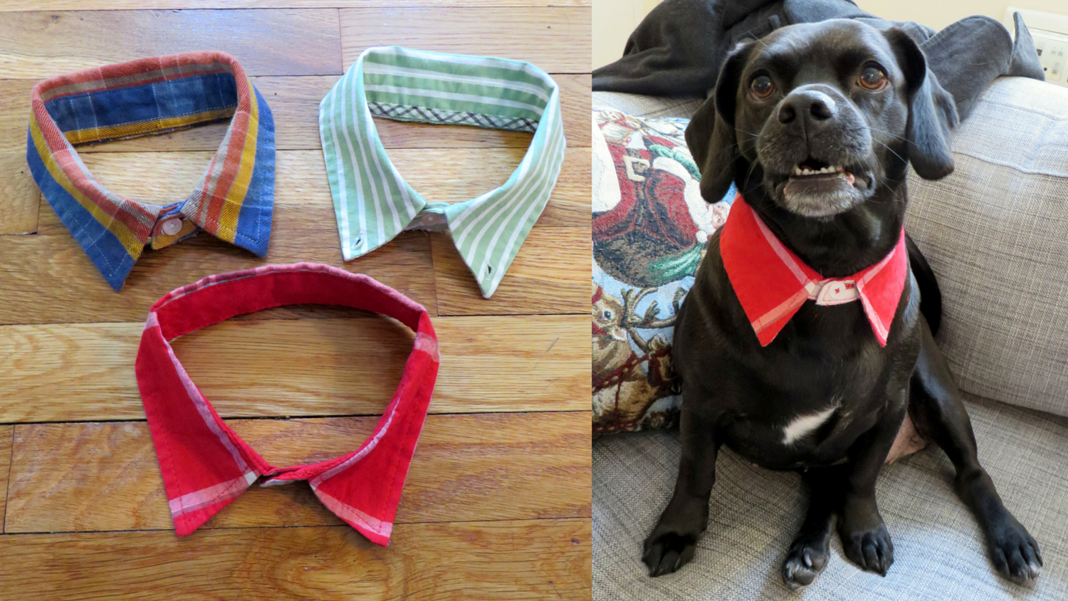 DIY Dog Collar Upcycled Dress Shirt - No Sew | The Cheerful Times